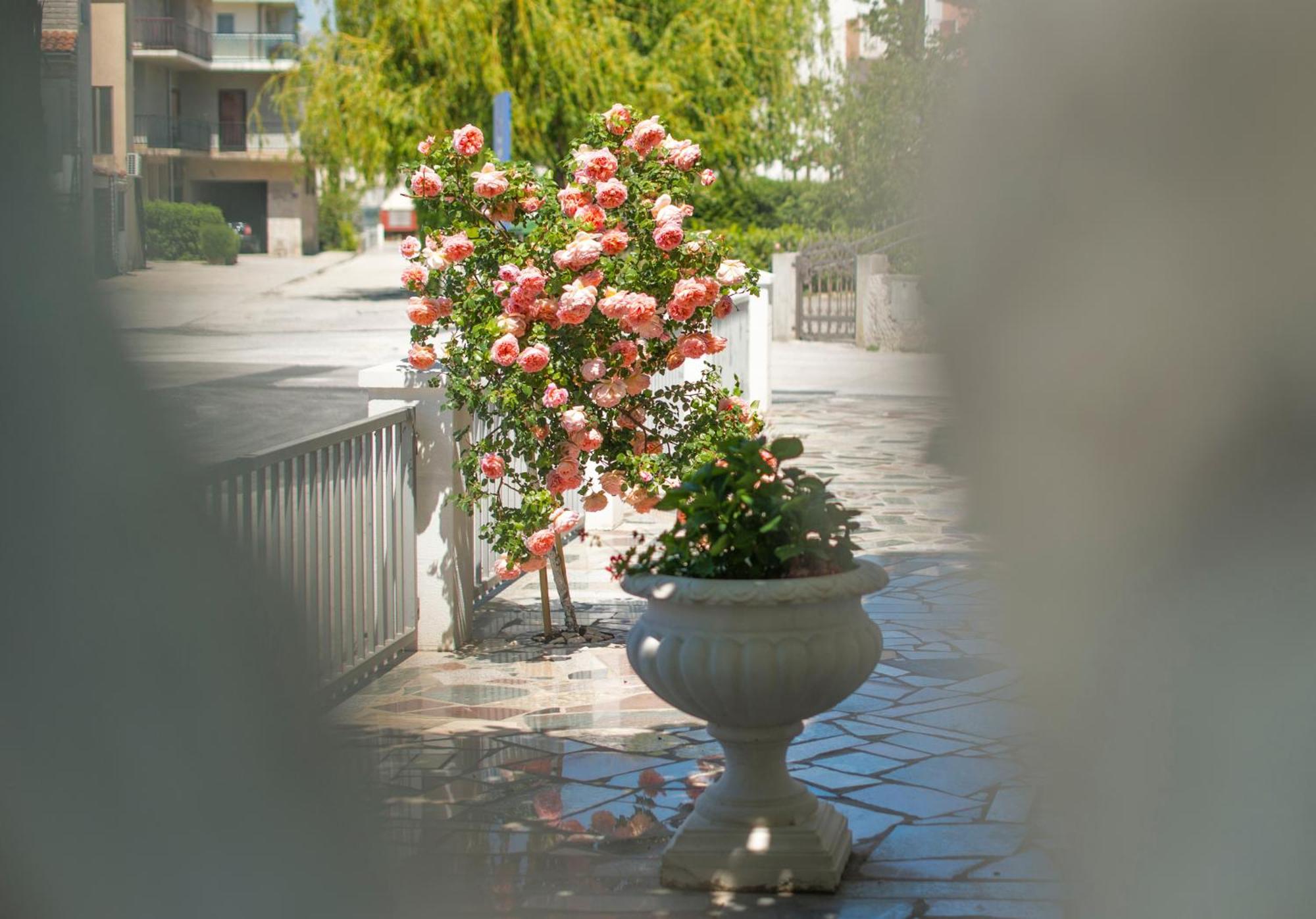 Apartments Nena ポドストラナ エクステリア 写真